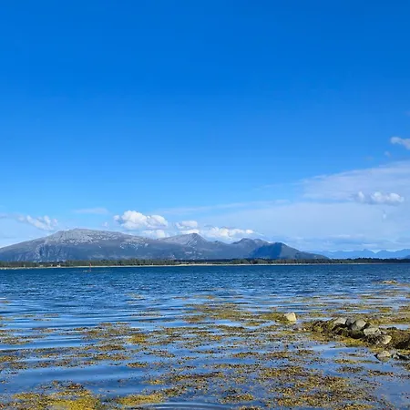 Vigra Fjord Appartement Synes