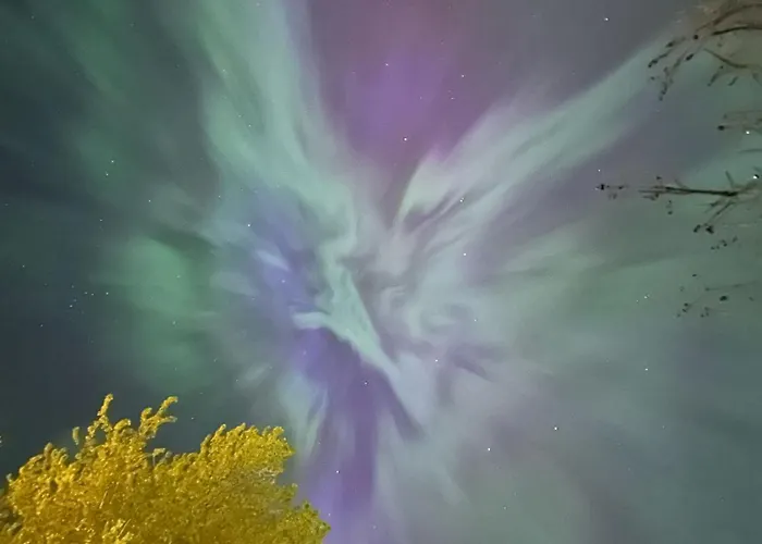 Vigra Fjord Appartamento Synes