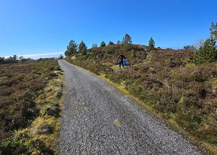 Appartamento Vigra Fjord *