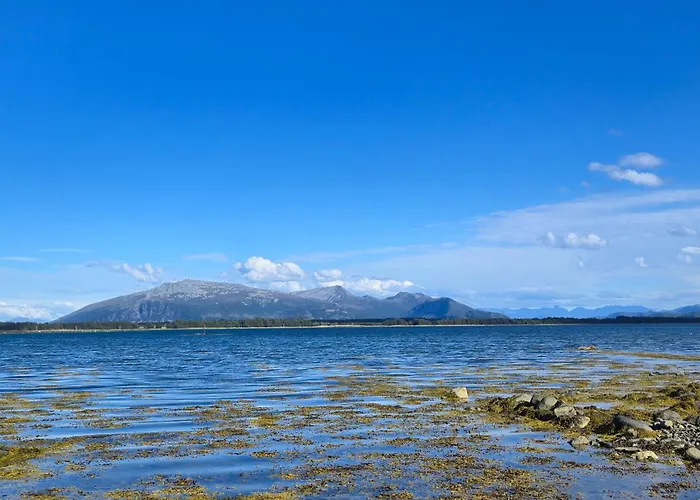 Vigra Fjord Appartamento Synes